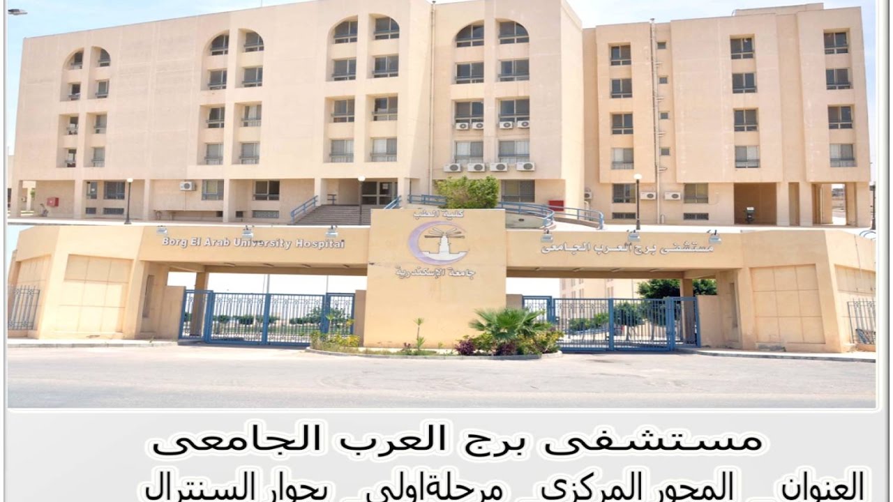 مستشفى برج العرب الجامعى