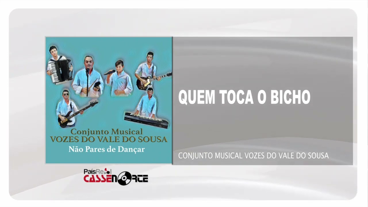 Conjunto Musical Vozes do Vale do Sousa - Quem Toca O Bicho