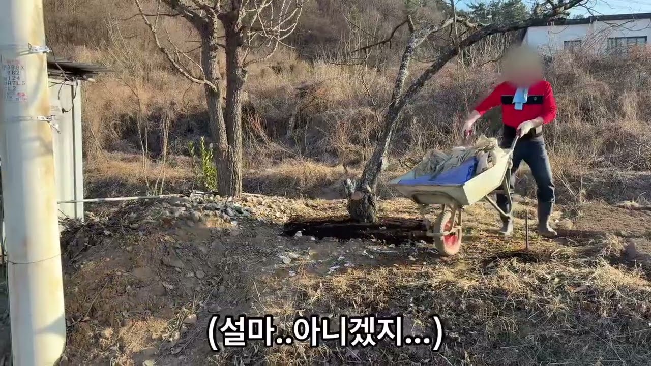 텃밭 나무에 거름을 주며 봄을 시작하는 갱한쓰