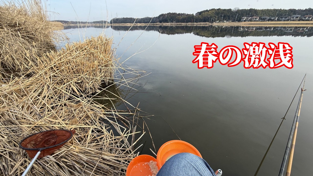 竿が長いとウキが見にくいけど沖から引っ張る気持ちよさ！