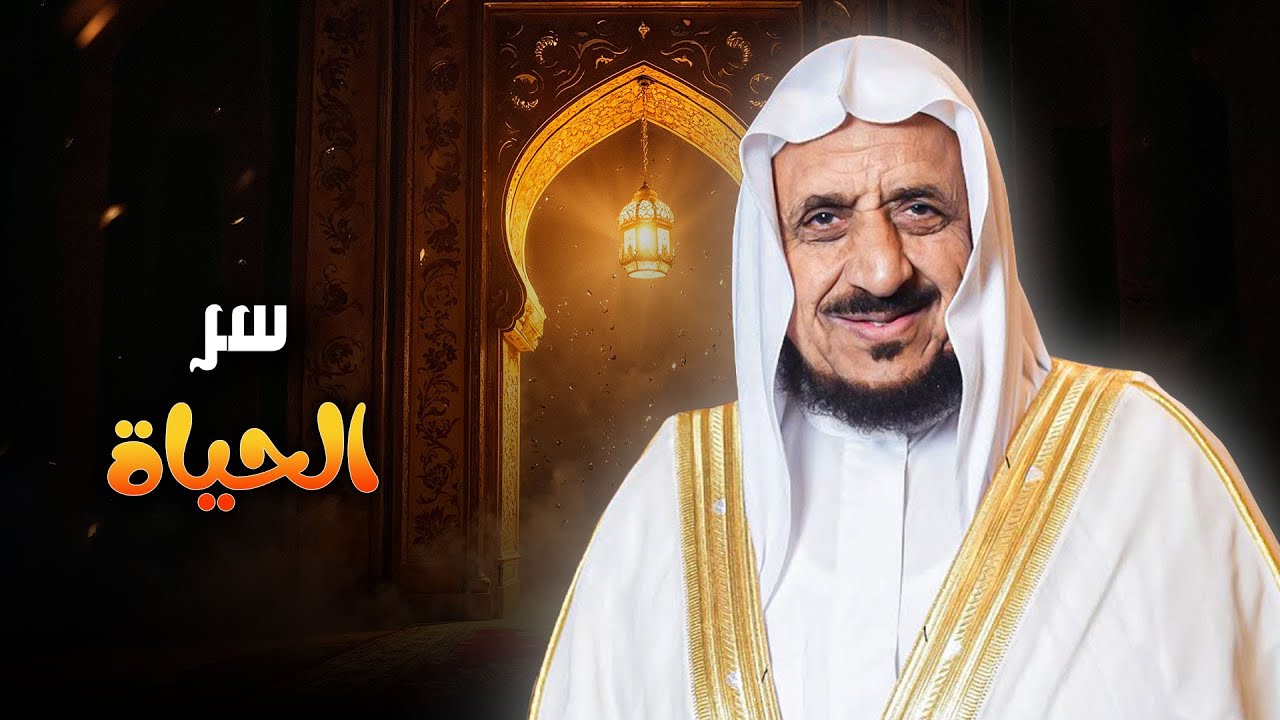 فتاوى تكشف لك أسرار الحياة اليومية