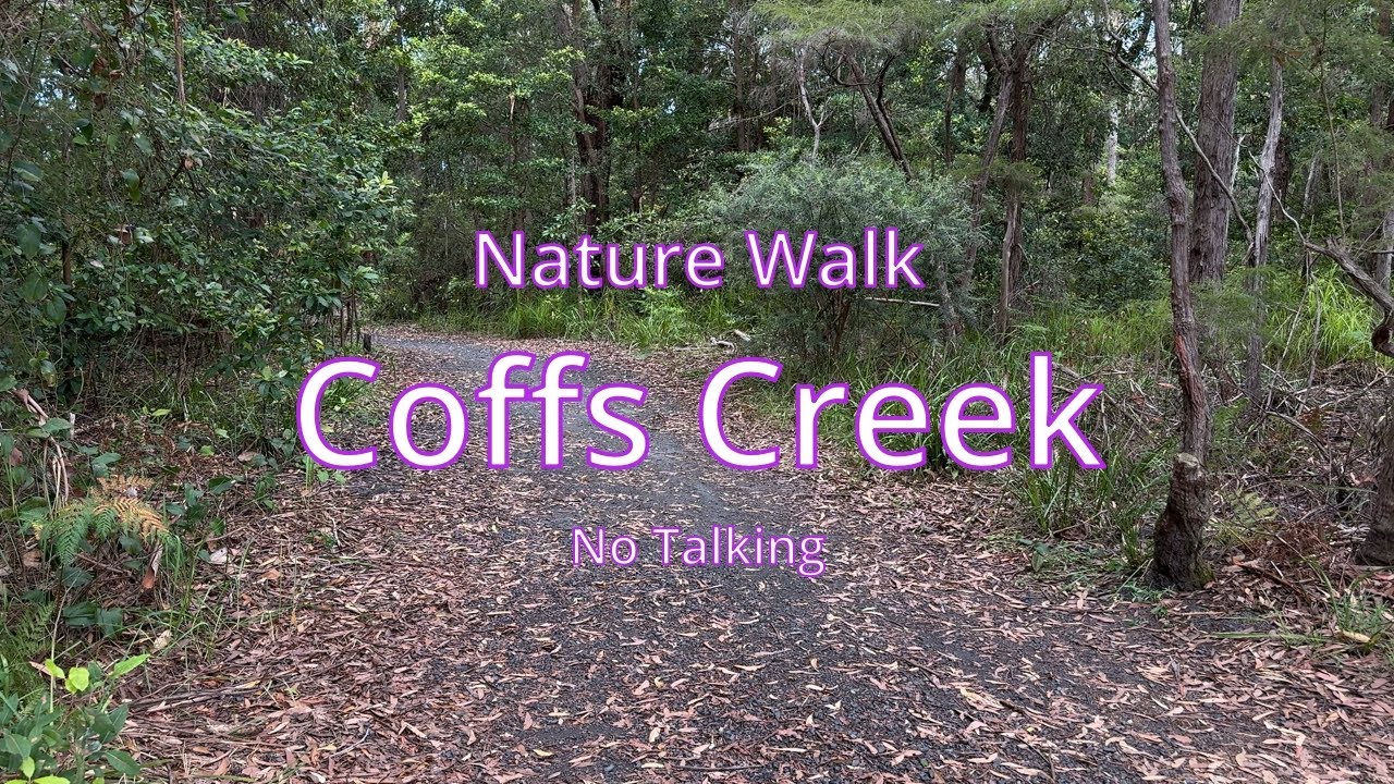 Coffs Creek Walk – No Talking | Relaxing Nature Walk NSW