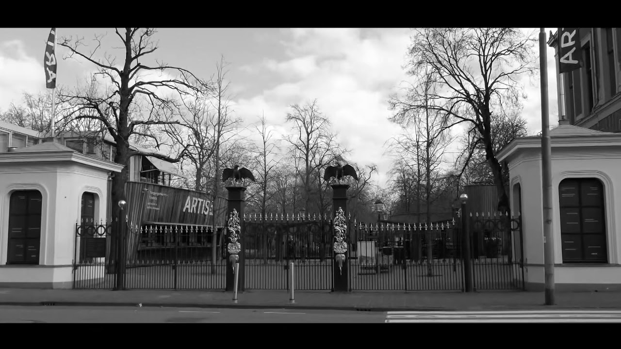 Rolf Sanchez - Speeltuin