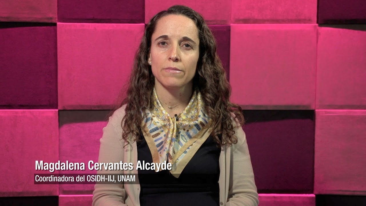 Sentencia Corte IDH: mujeres víctimas de tortura sexual en Atenco vs. México, IIJ-UNAM 1/2