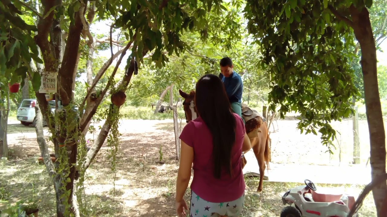 🐎🐎🙈🙉🙊👩‍🌾👨‍🌾👩‍🌾💝❤️🎀✨️🙌🙏
