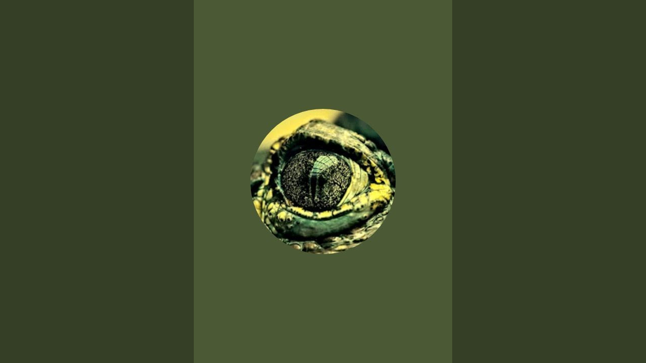 GATORS SKY EXPLORATION is live!