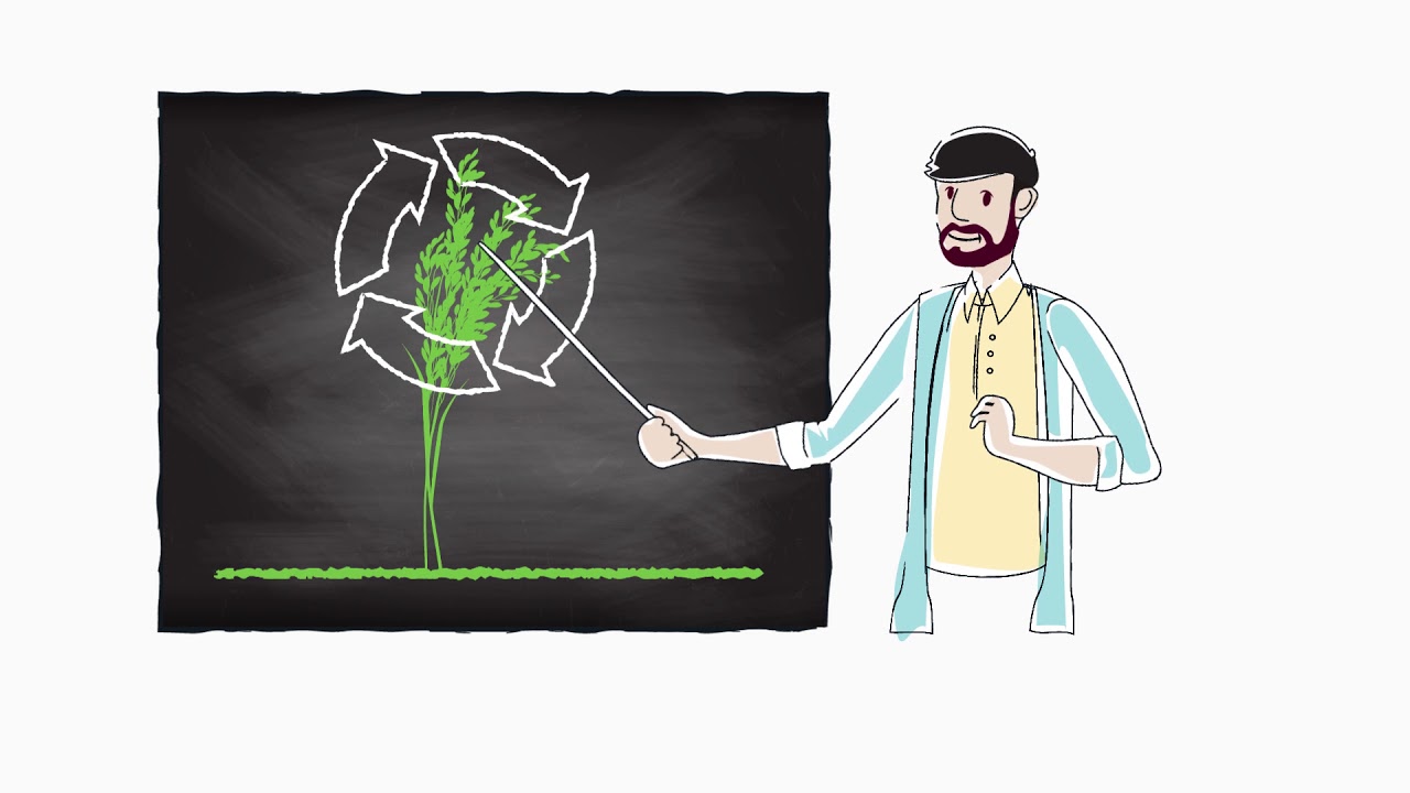 Amistar y Amistar Top