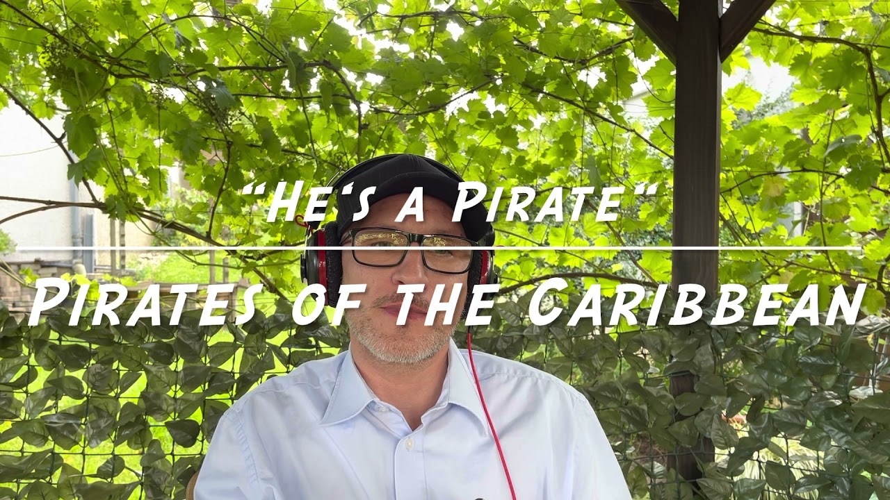Pirates of the Caribbean (He‘s a Pirat) Harmonica Mundharmonika Mouth Organ Fluch der Karibik Cover