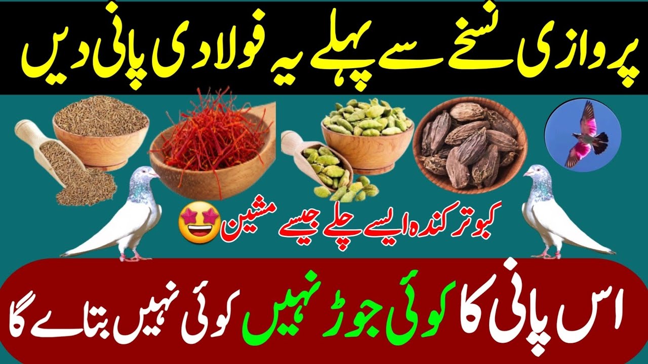 Parwazi nuskhy se pehly ye foladi pani zaror den 