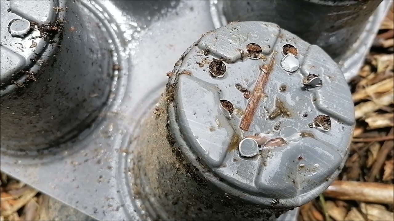 Una dintre cele mai bune metode bio de combatere a melcilor/limacsilor