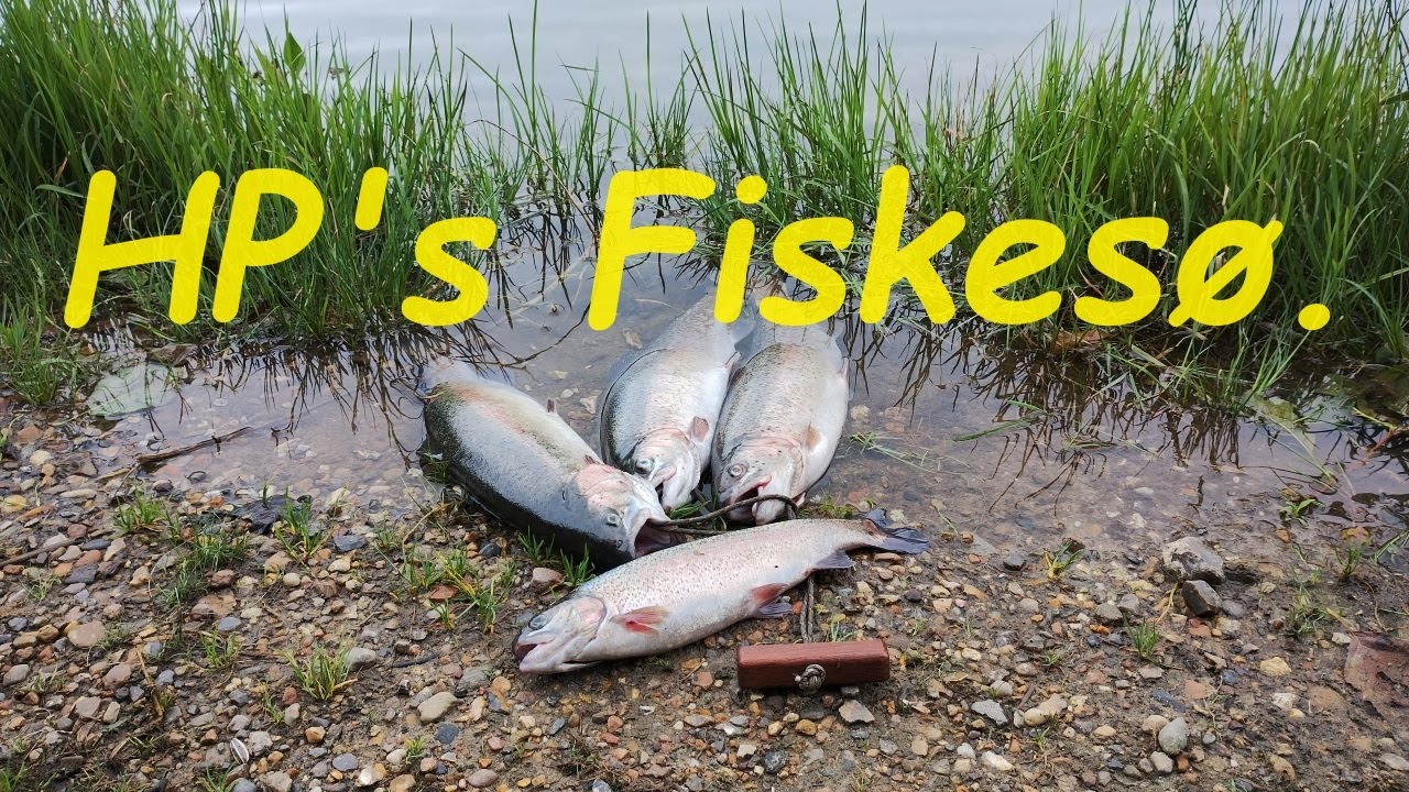 HP's Fiskesø - Dagen efter stormen, men det gav fisk..🐟🎣😁