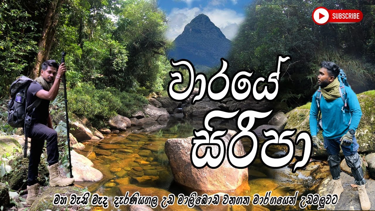 Pilgrimage to Sri Pada | උඩමාලිබොඩ වනගත මාර්ගයෙන් සිරිපා කරුණාව.| #sripadaya #travelvlog 