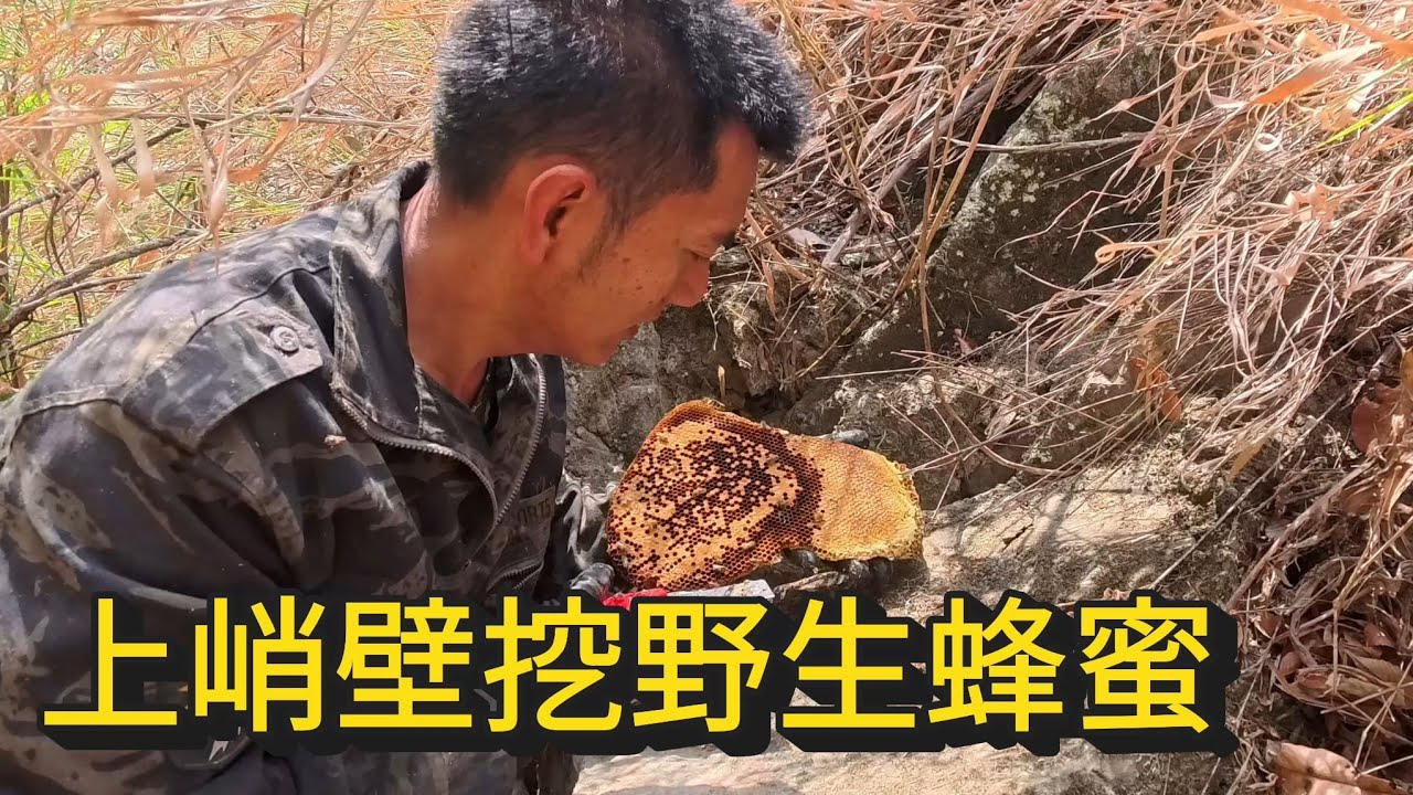 峭壁上的野生蜂蜜-跟著阿浦開箱真實的野蜜吧