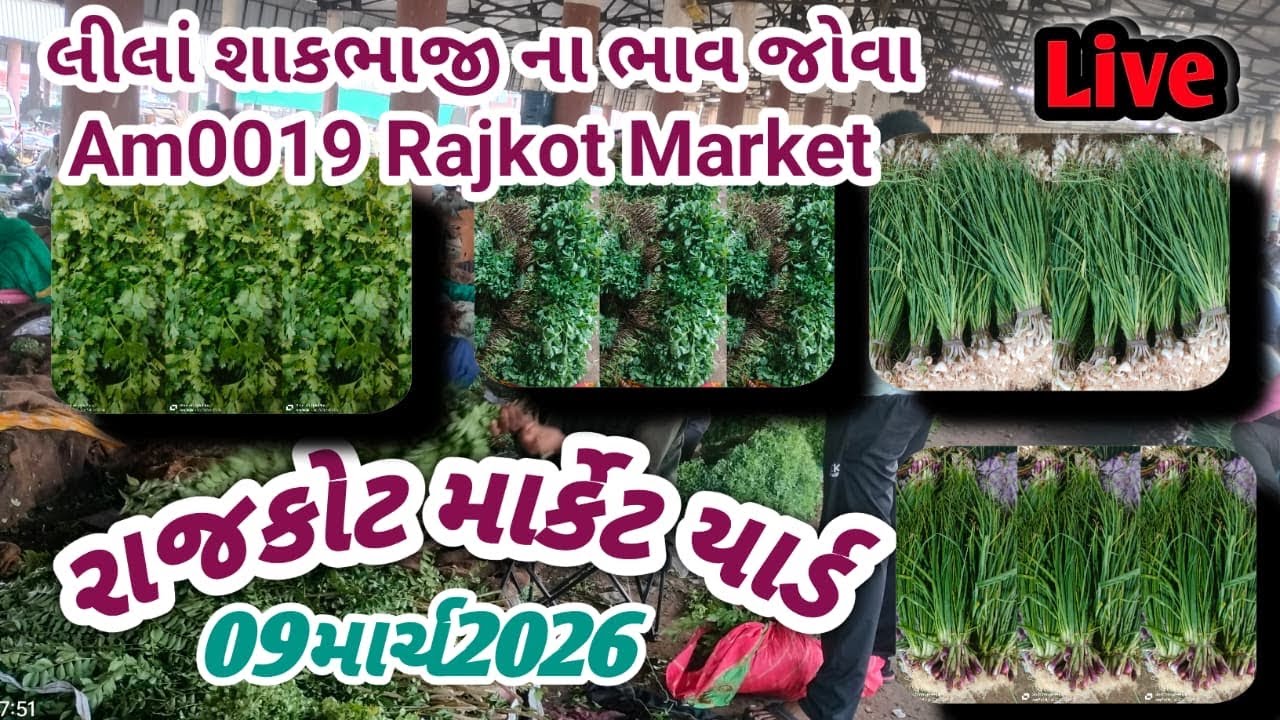Rajkot masala market 09/03/2026 bhaji masala mandi 