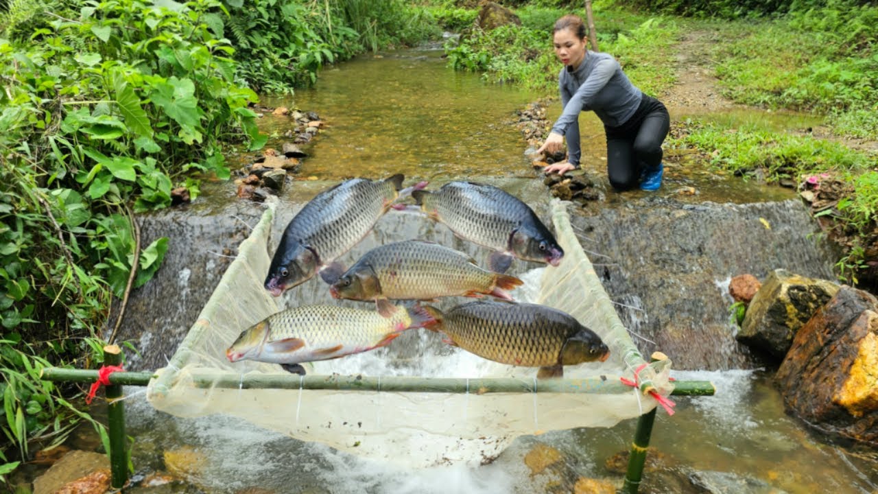 Ana made a simple fish trap but caught nearly 10kg of carp in a natural stream.