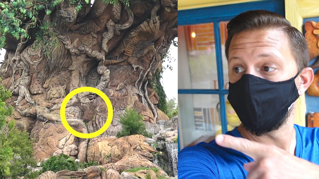 Things I've Never Noticed At Disney's Animal Kingdom Part 2! | Maharaja Jungle Trek & Hidden Mickeys