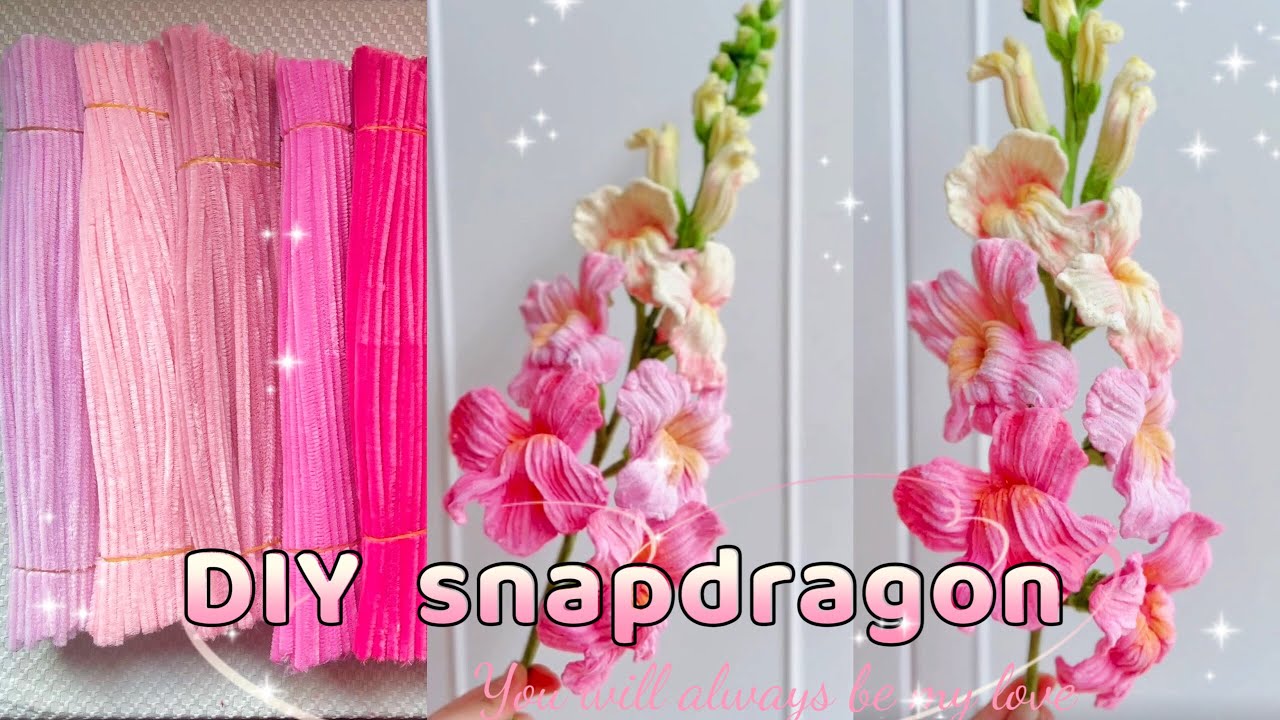 DiY  Snapdragon