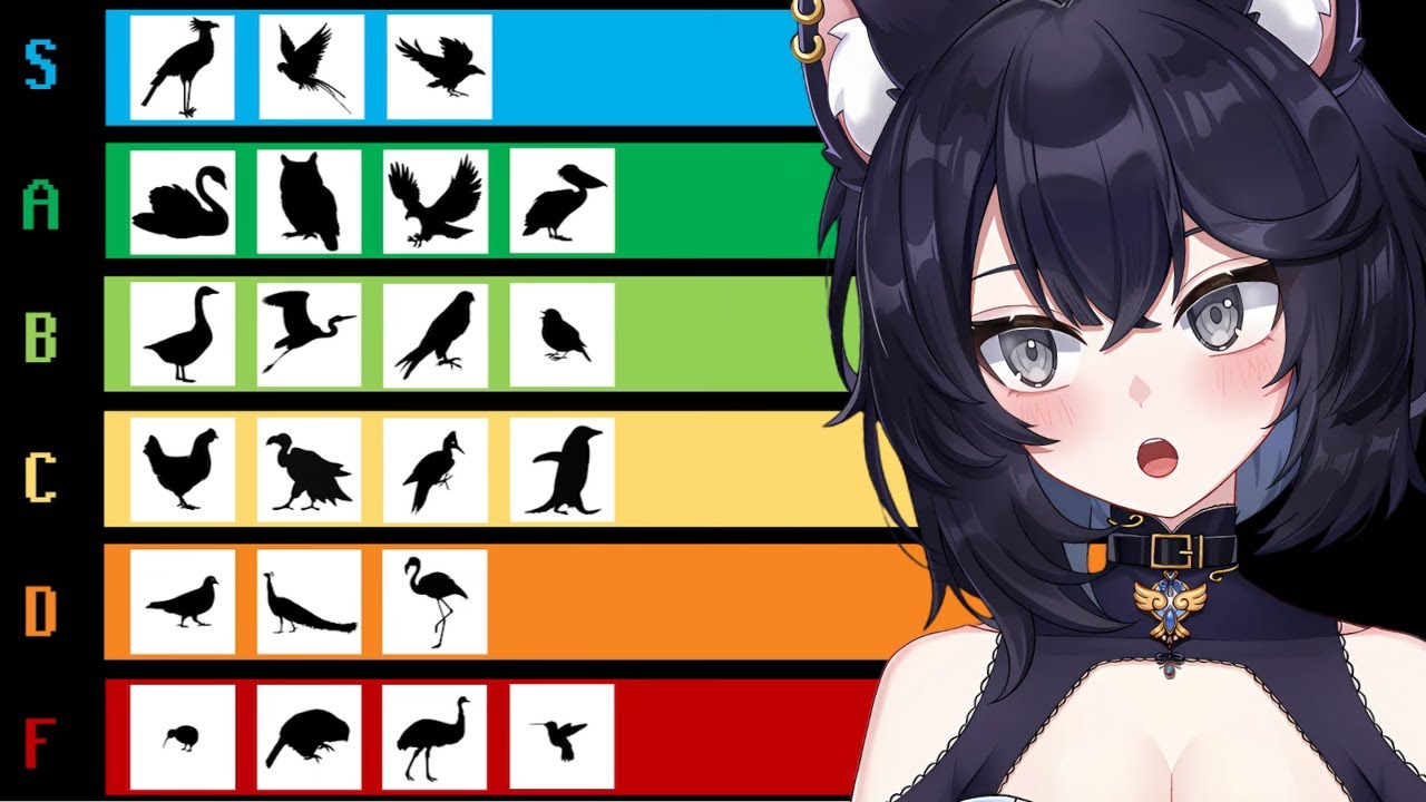 Список BIRD Tier | Реакция на Tier Zoo