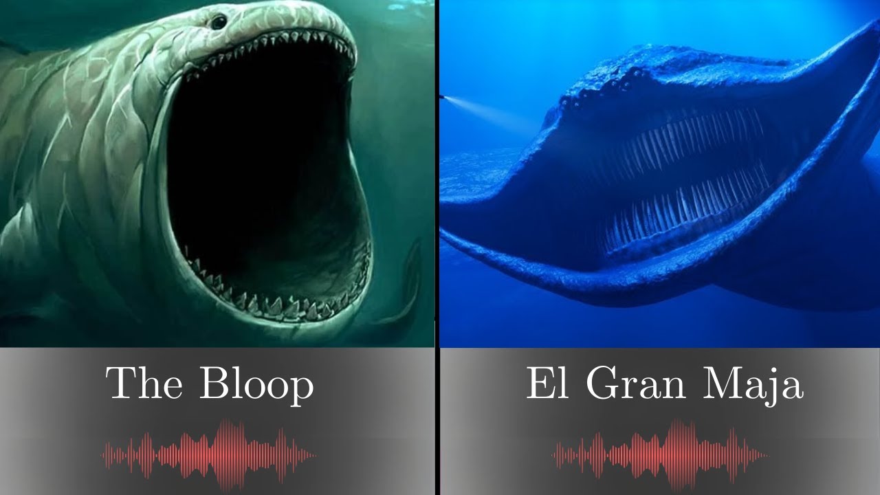 «Блуп» против «Эль Гран Маха»: правда и вымысел | Морские чудовища