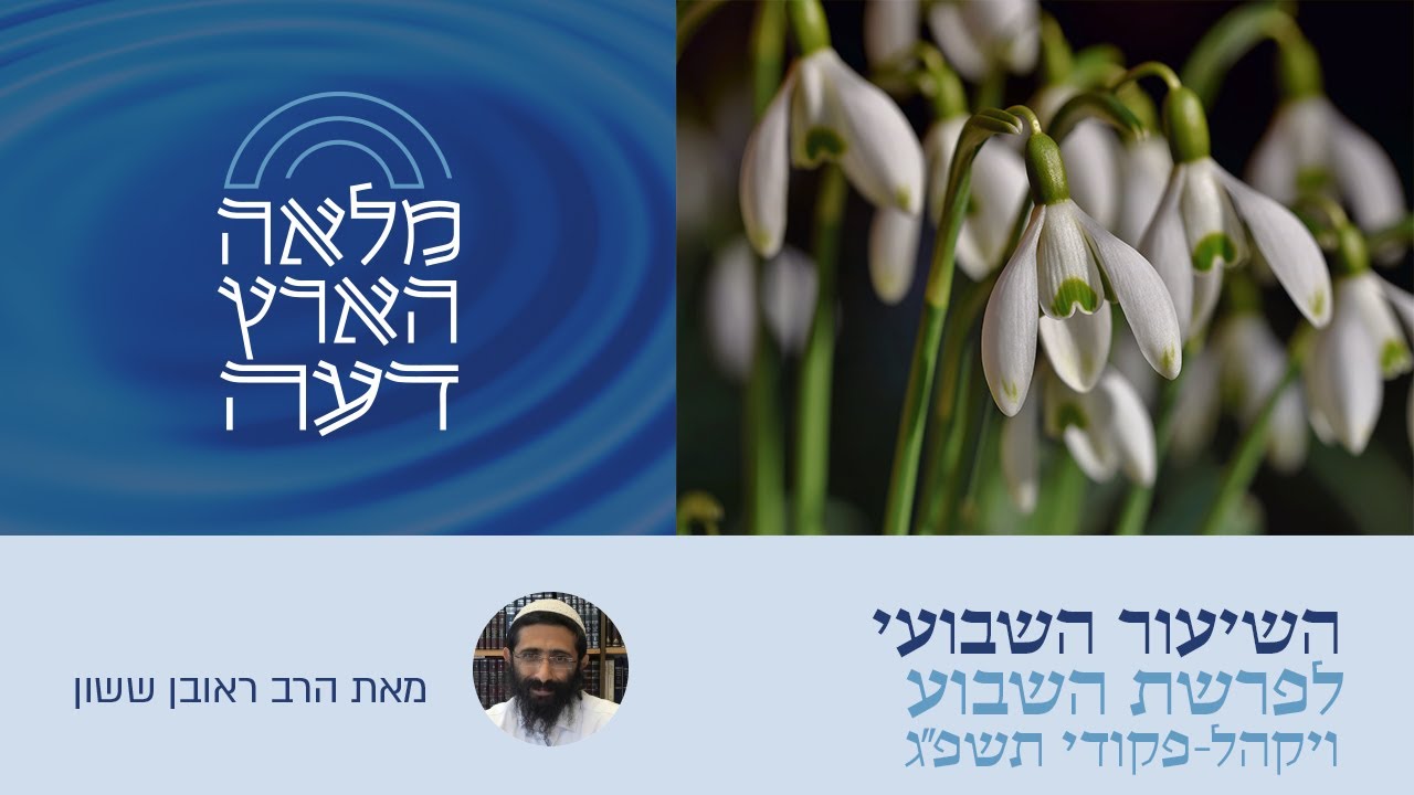 הרב ראובן ששון • פרשת ויקהל-פקודי • בניית המשכן והקמתו - המתכון הסודי לאחדות העם
