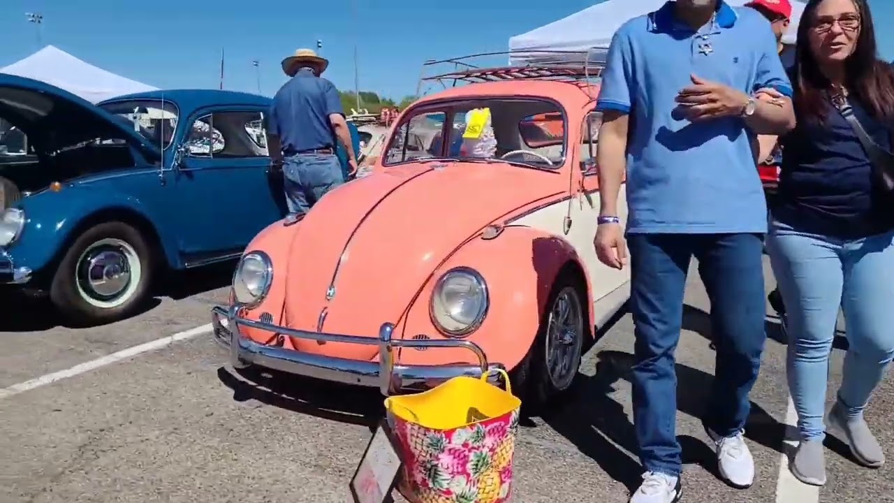 Bugapalooza 2024 In Chattanooga Tennessee. Volkswagen ❤️