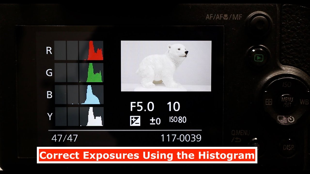 Getting the Correct Exposure on Panasonic Lumix Bridge Cameras