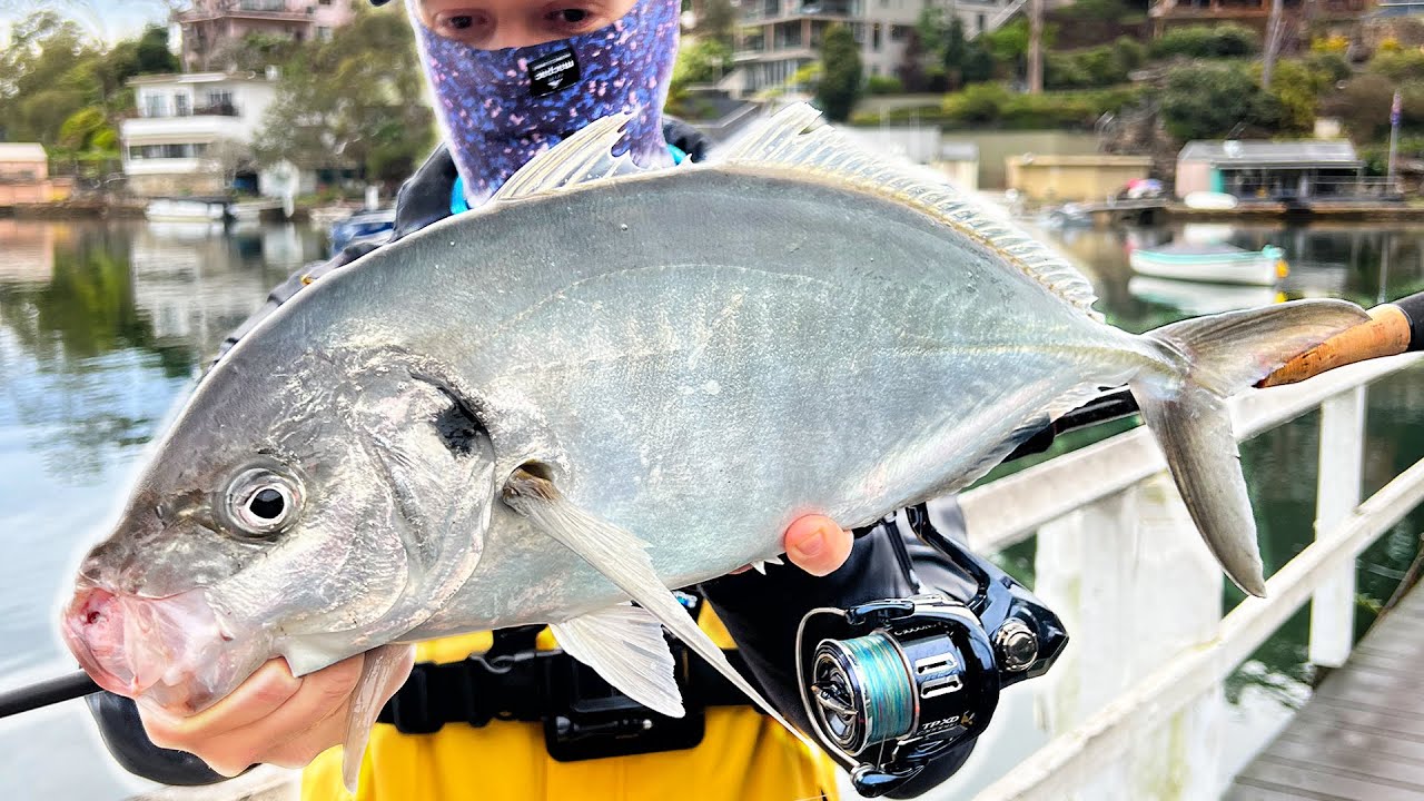 Strongest Fish in the World! | Yellowtail Kingfish vs Trevally