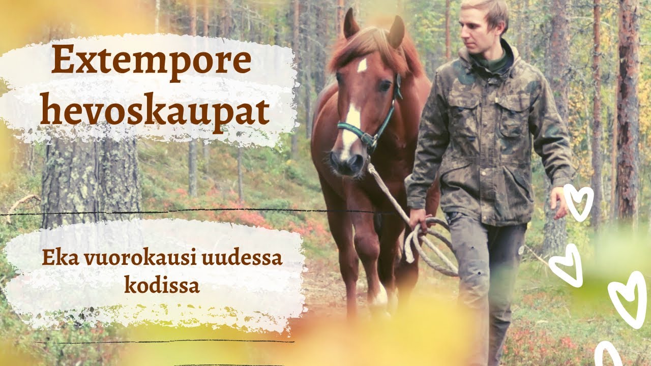 EKA VUOROKAUSI l ostettiin ravihevonen