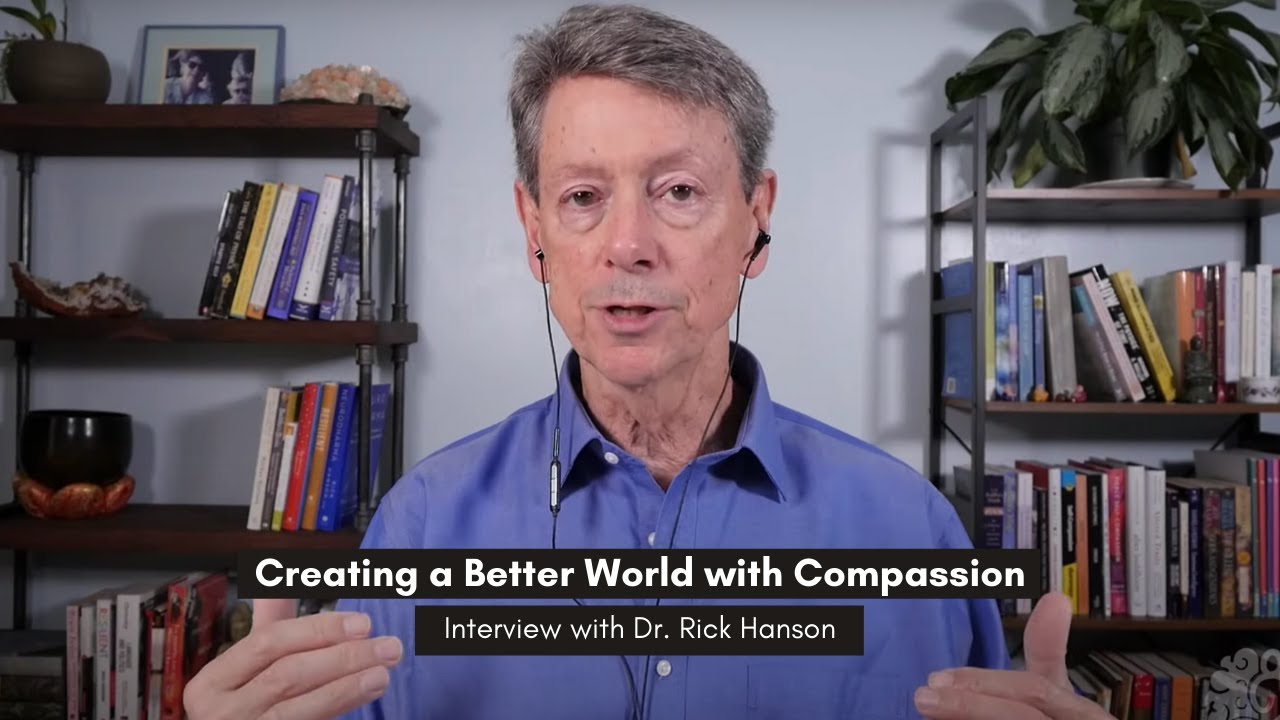How to Make a Better World with Compassion with Mindful Meditation - Interview with Dr. Rick Hanson