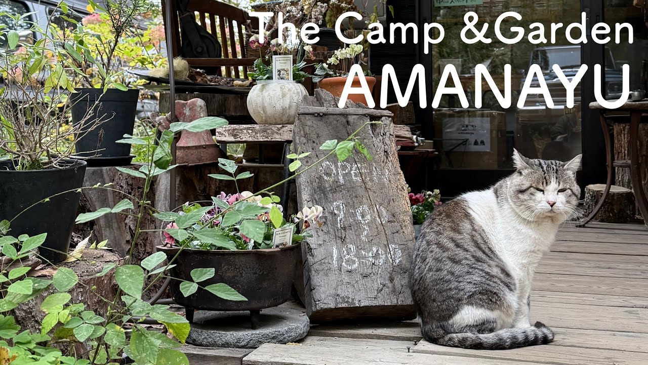 【The Camp&Garden AMANAYU】森林でまったり過ごすキャンプ