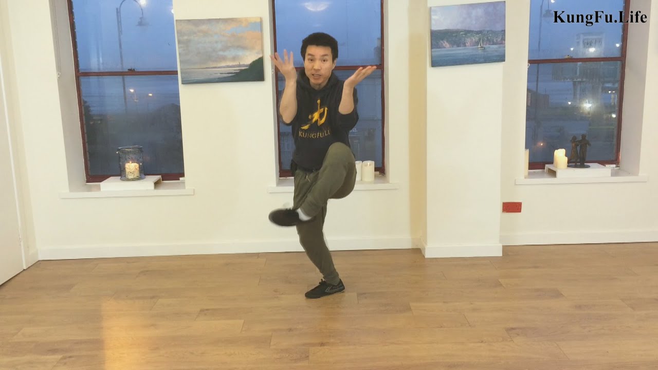 shaolin kung fu defence movement - block & double punch