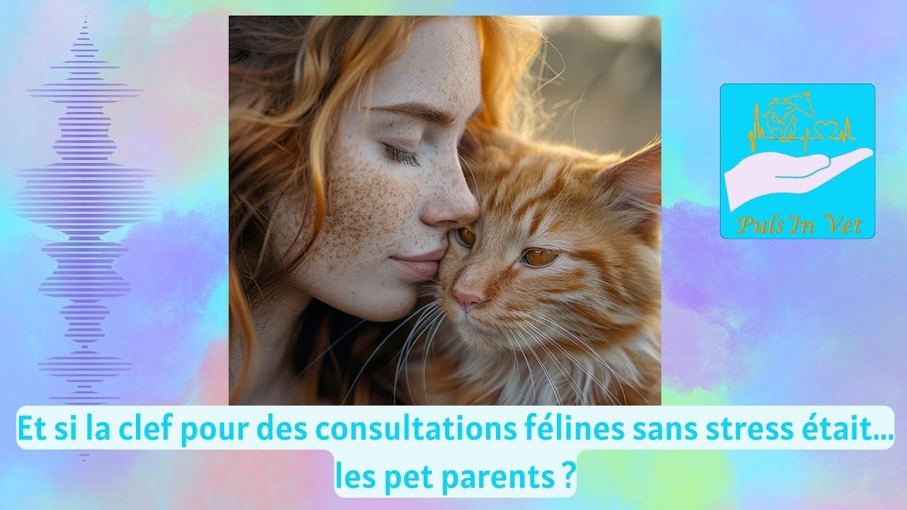 Et si la clef pour des consultations félines sans stress était... les pet parents ?