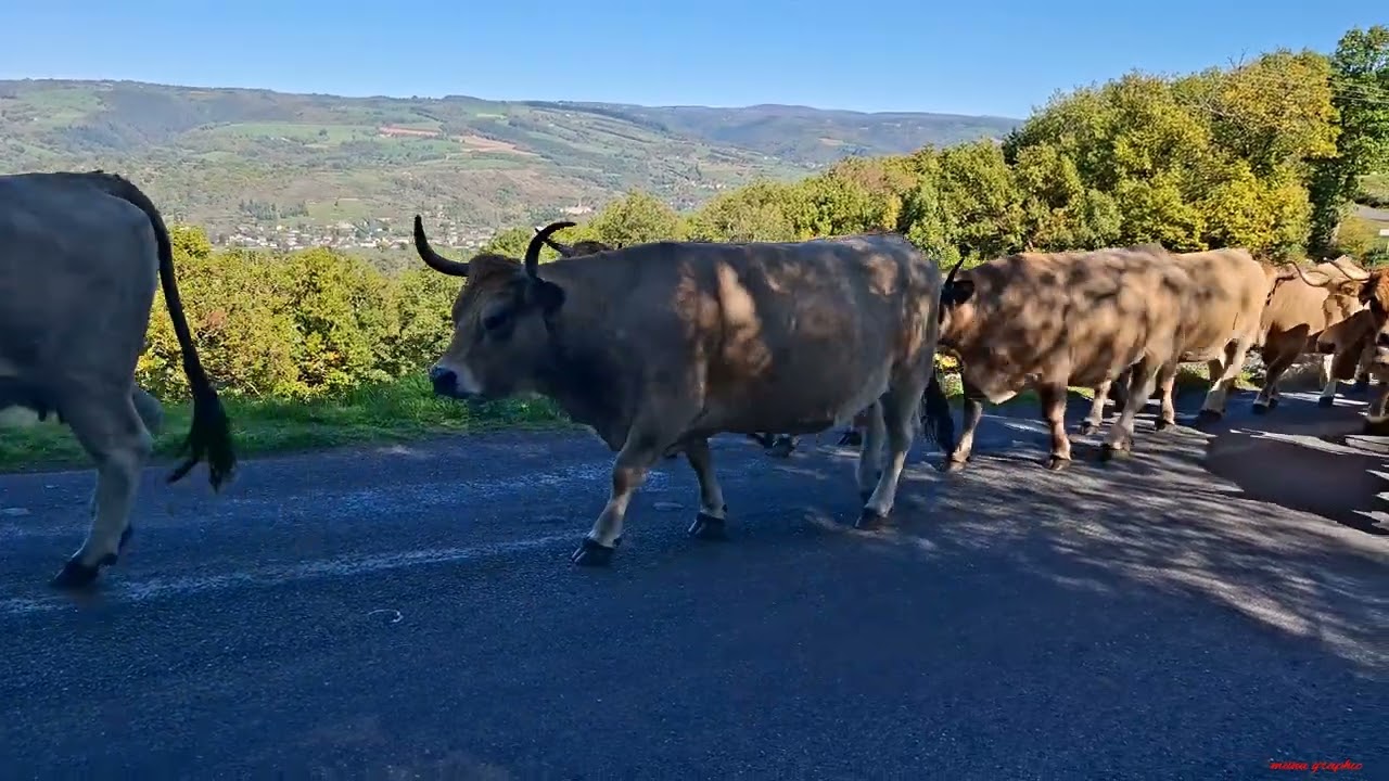 balade en aveyron 