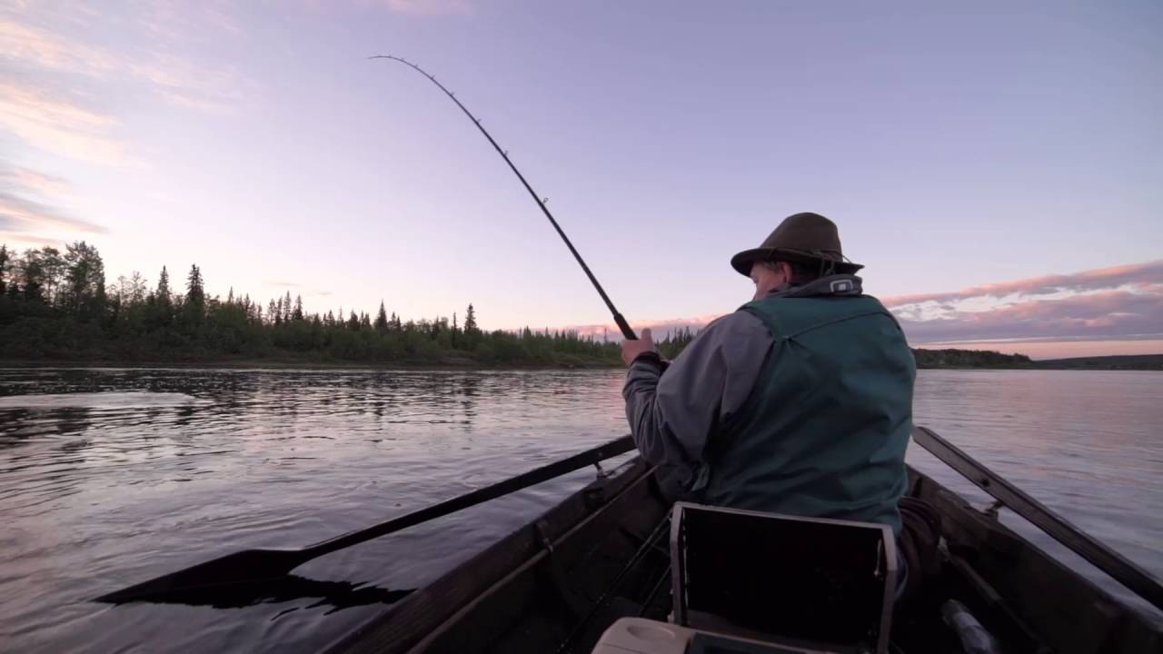 Midnight Sun Salmon Fishing