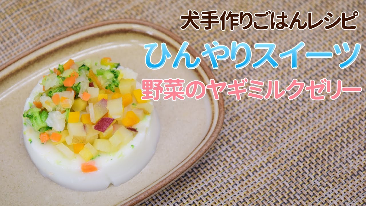 【手作り犬ご飯】暑い日に、ひんやりヤギミルクゼリー【帝塚山ハウンドカム】