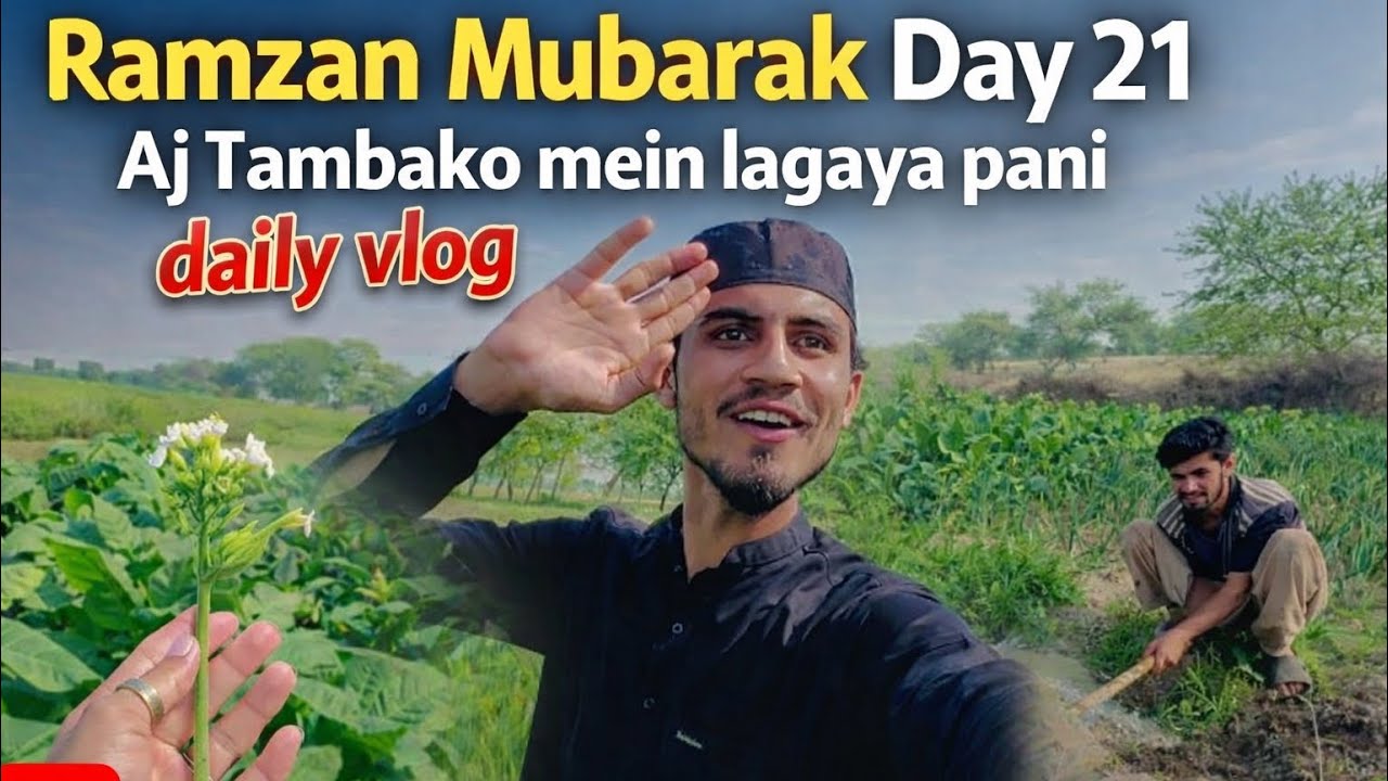 Ramzan Mubarak Day 21 | Subha Quran Pak ki Tilawat aur Tambako ke Khet mein Aaj ka Kaam #dailyvlog 