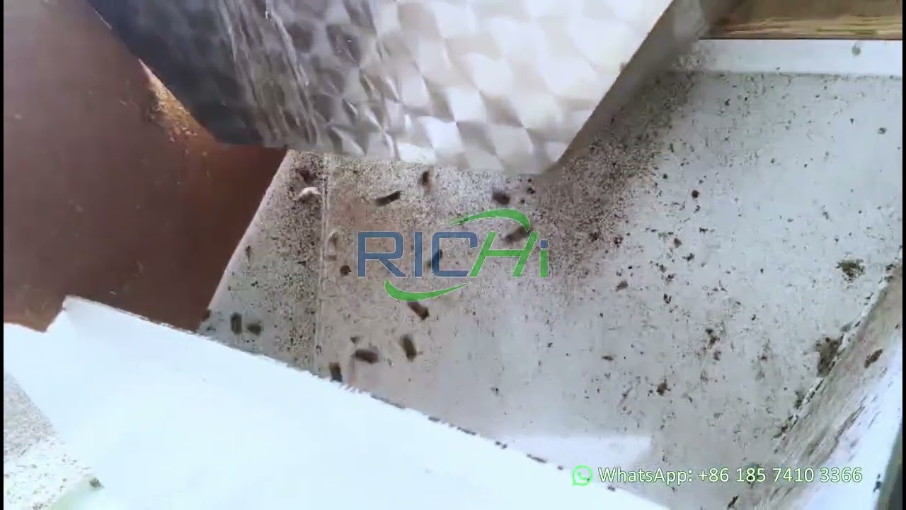 Complete RDF Pellet Production Line Solution - Design, Production, Installation - RICHI Machinery