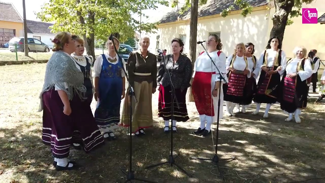 KARAVAN BANATSKE BAJKE FARKAŽDIN 2025.