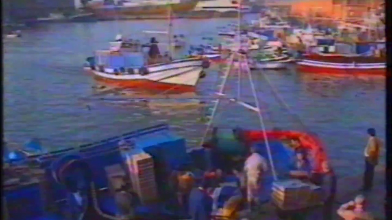 BARCELONA A TRAZOS PESCADORES Y ESTIBADORES