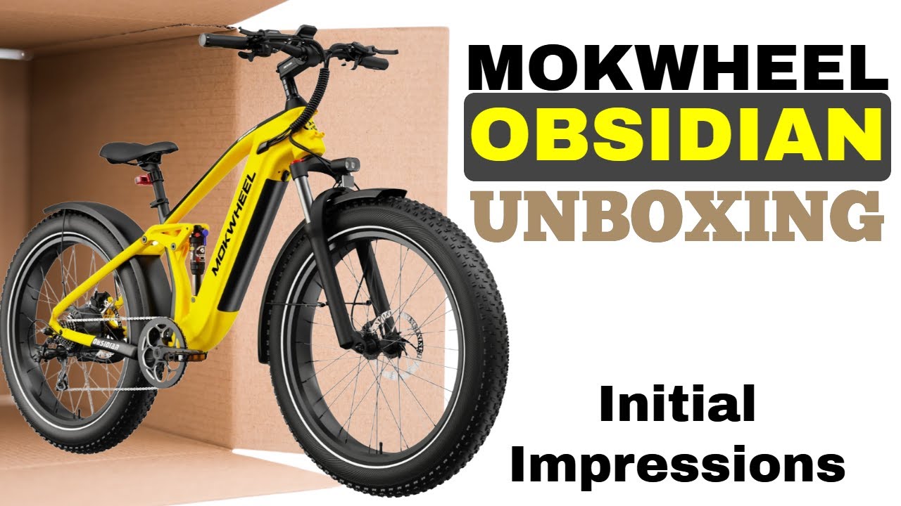 CRAZY SWEET eBike: Mokwheel Obsidian