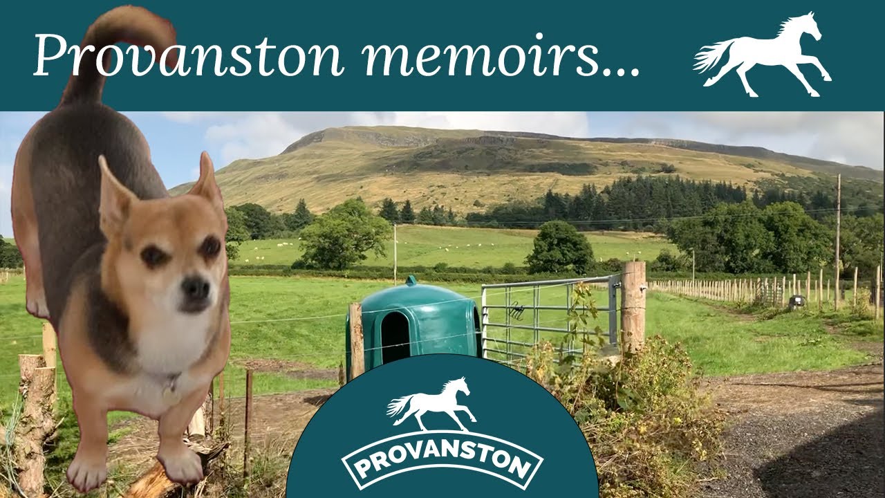 A Day on the Farm with Jo and Frodo - Country living in Scotland