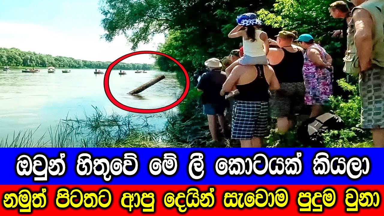 ඔවුන් හිතුවේ මේ ලීකොටයක් විතරක් කියලා. | What Came Out From The River Is Amazing