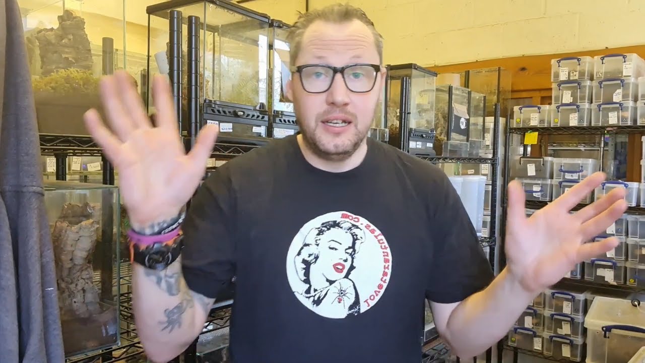#ArachnoShorts