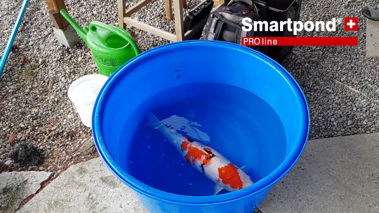Smartpond besucht Ruedi Weber in der Schweiz 🇨🇭