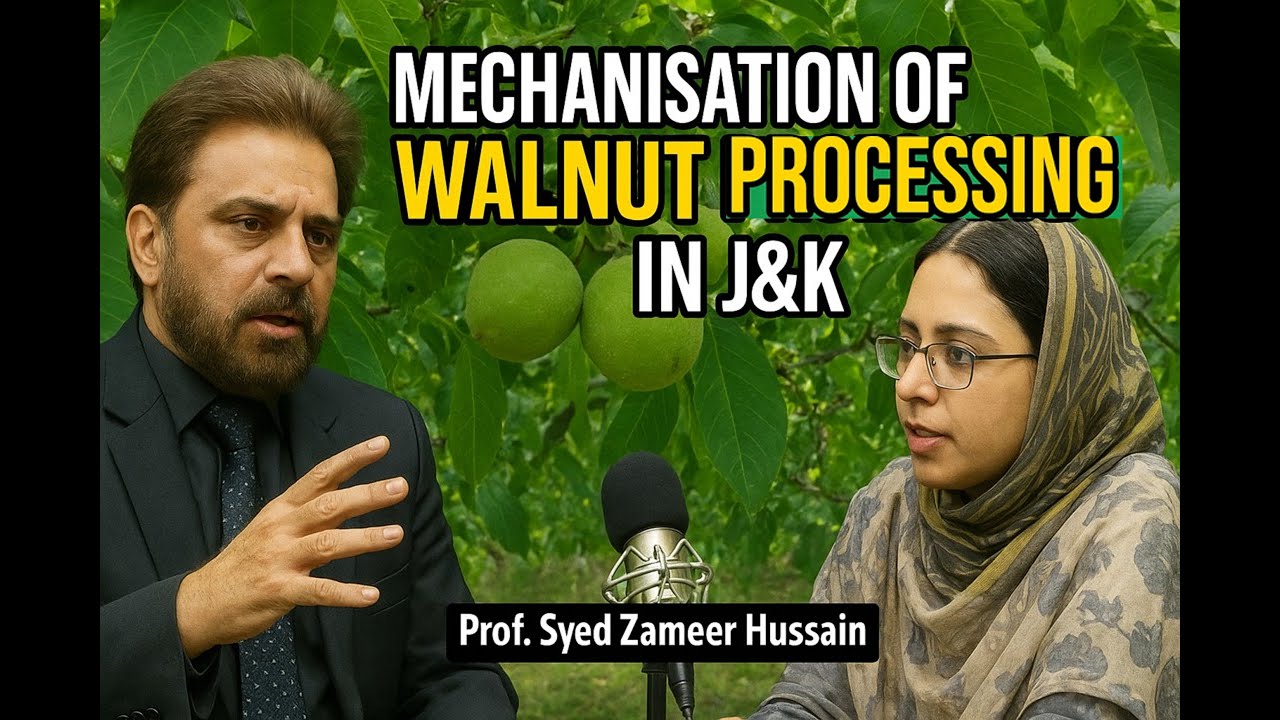 Mechanisation of Walnut Processing in Jammu & Kashmir | Prof. Syed Zameer Hussain | SKUAST-Kashmir