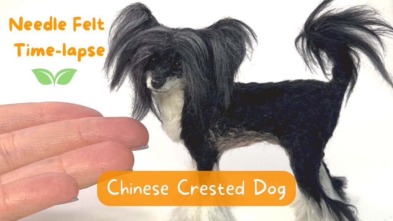 Realistic Needle Felted Chinese Crested Dog - Time-Lapse - Made with Plant Fibers - Vegan