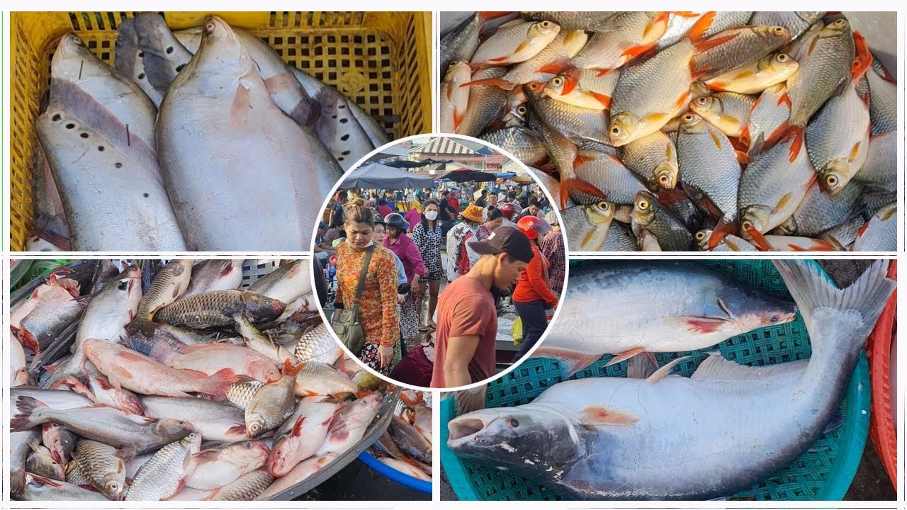I Look for Some Food in This Small Market for Daily Meal | What Menu Will You Pick from This Market?