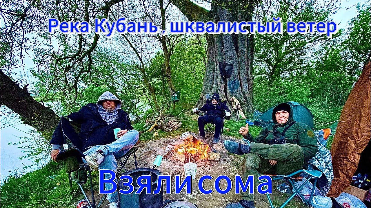 Кубань рыбалка 2025 Варениковка ,  сазан спит,  порадовал сом кубанский .