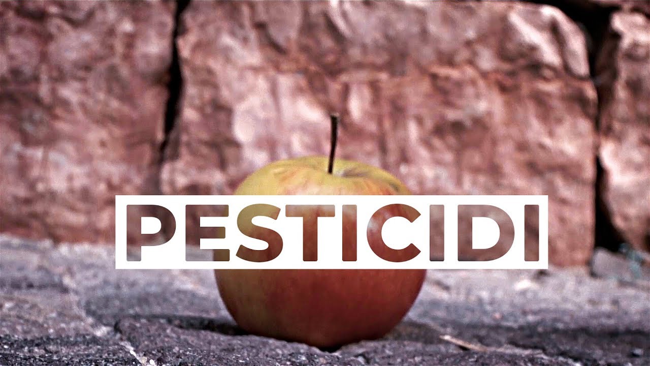Cibo e PESTICIDI, ora basta! Pesticidi, siamo alla frutta