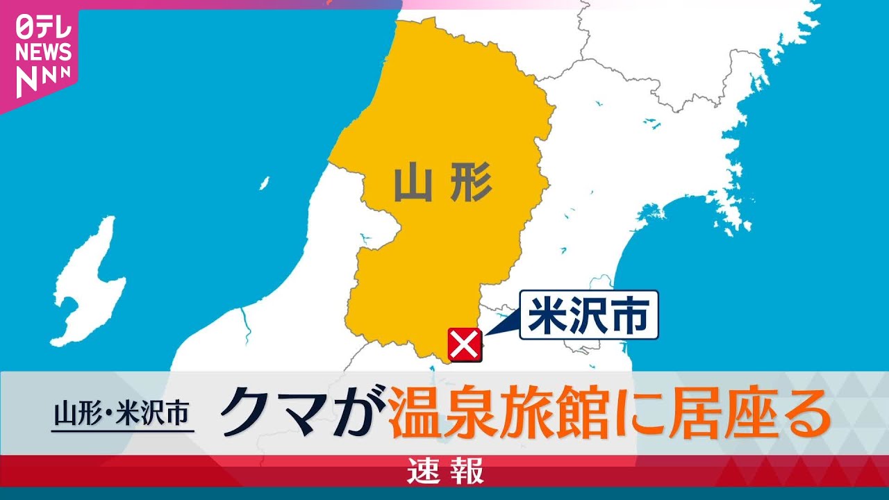 【クマ】クマが温泉旅館に侵入  山形・米沢市 / クマ人身被害“7割以上”が人の生活圏で発生　エサ大凶作で「死に物狂い」── 社会ニュースまとめ （日テレNEWS LIVE）